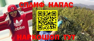 PSILOCYBIN Будённовск