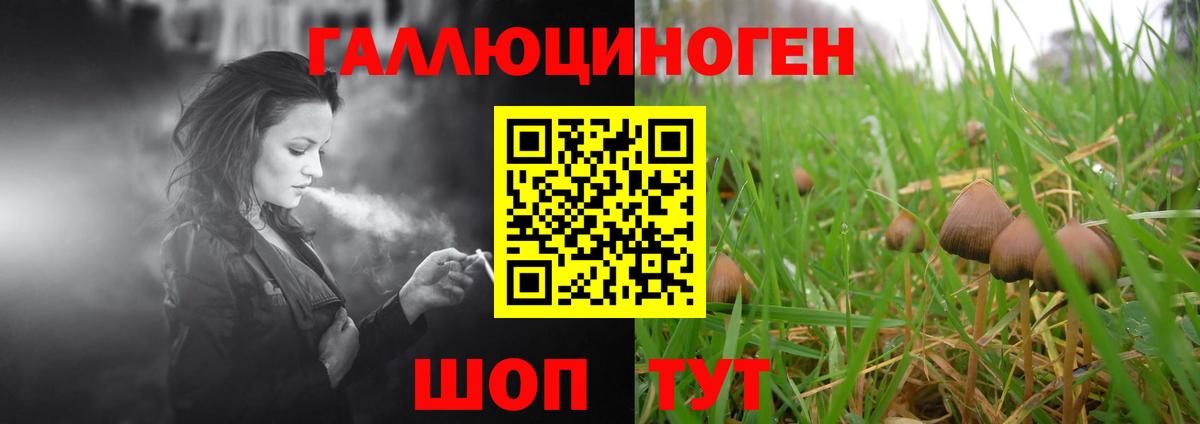 Псилоцибиновые грибы Psilocybe  Псилоцибиновые грибы прущие грибы  Вход с VPN  Сальск 