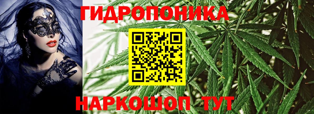 Марихуана SATIVA & INDICA Сальск
